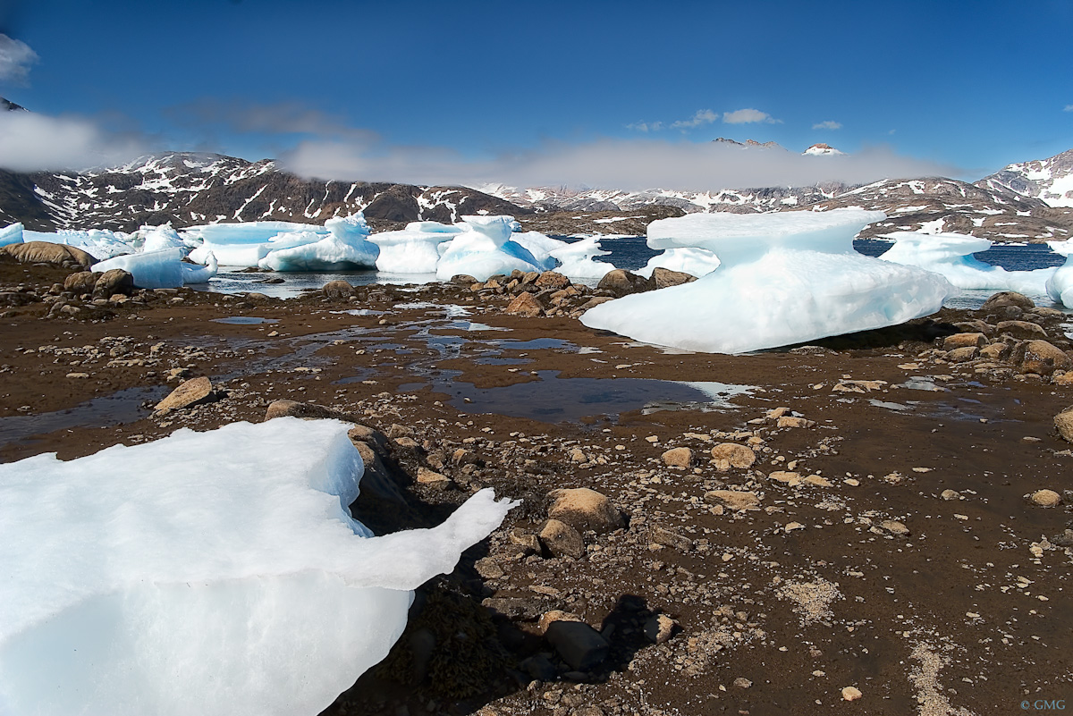 La baia degli iceberg spiaggiati