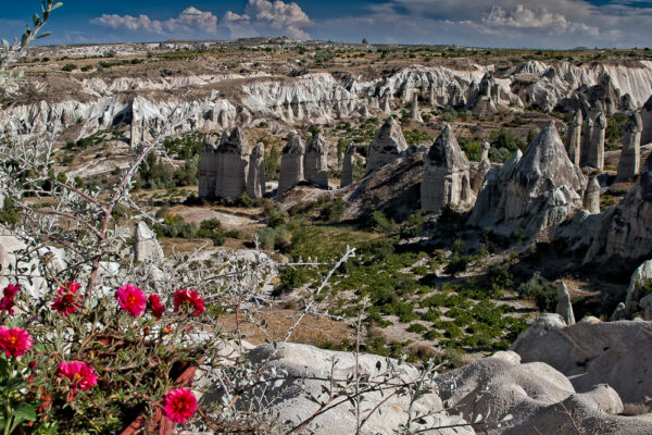 Love valley con i fiori Cappadocia