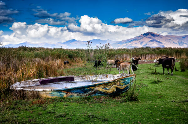 Una Grecia non convenzionale: Prespa

Fishermen and herders, Aghios Achilleios, Macedonia, Greece