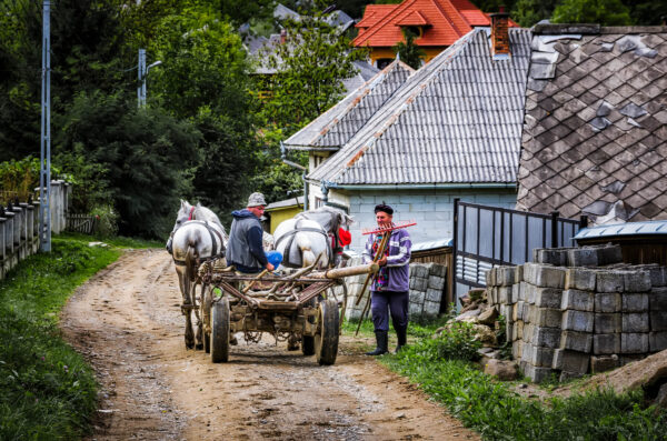 Loading the cart, Maramures, Romania