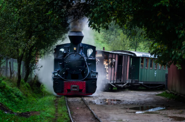 Verso Mocăniţa - 3 LA FERROVIA
Treno in marcia 