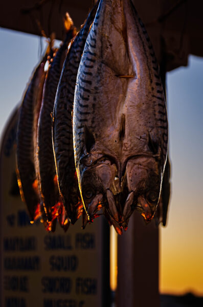 Paros tra turismo ed economia sostenibile. Drying mackerels in Paros, Greece