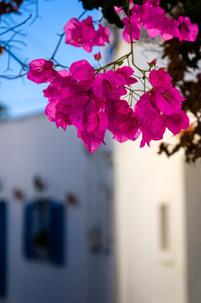 Paros la rilassata. 