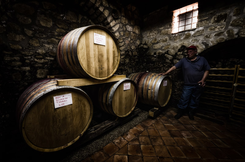 Aglianico Grape Harvesting - The Winemaker