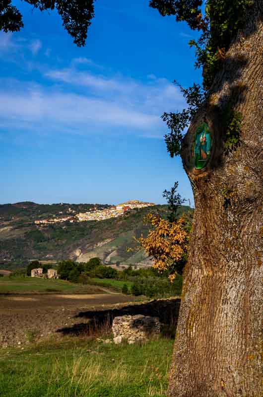 Una giornata senza pretese