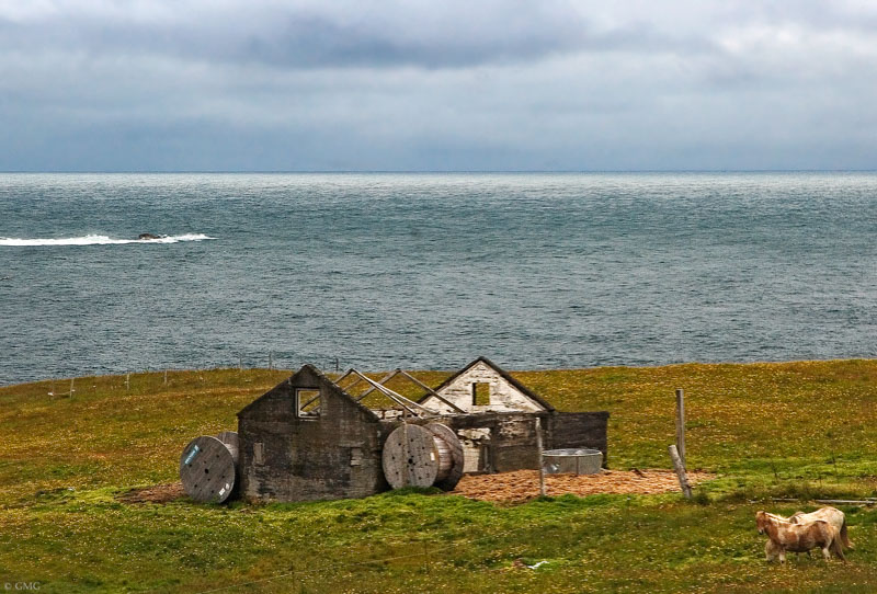 Snæfellsnes ed il suo vulcano