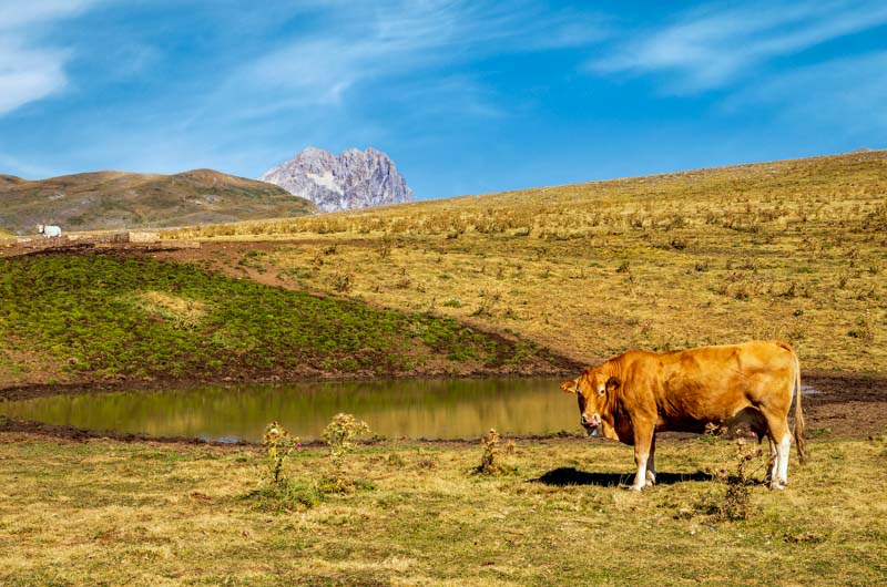 Gran Sasso: le Highlands italiane